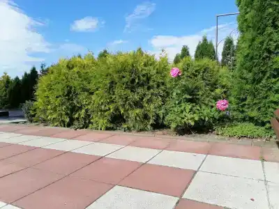 Жировичское Предместье - 34