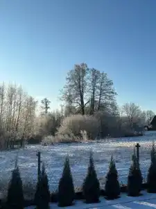 Агроусадьба с баней на реке Птичь - 31