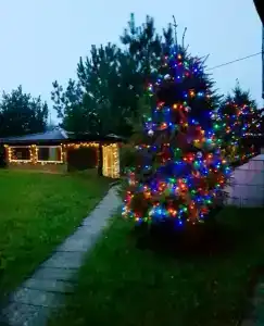 Дома на берегу озера - 45