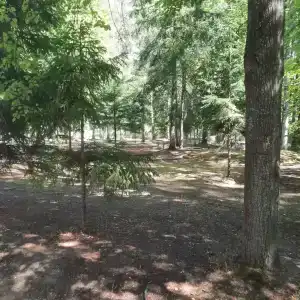Четыре сезона - 4