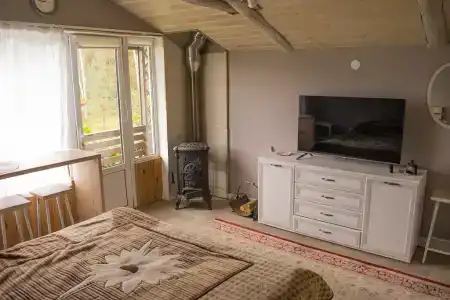 Боровики - 3