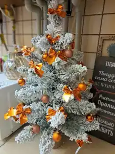 Квартиры на Подгорной 6 - 207