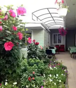 Море-лето - 1