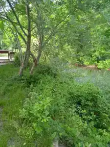 Светлана - 81