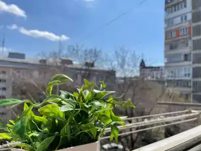 Уютныйдом на Либкнехта17 - 11