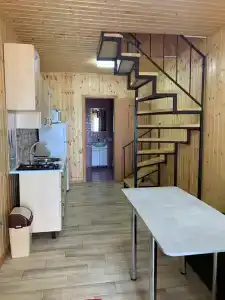 Голубая крыша - 10