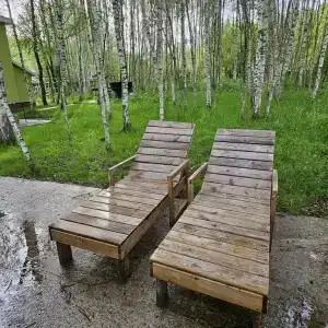 В гостях у леса - 60