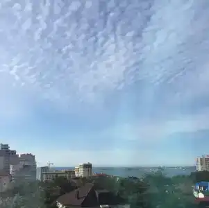 Квартиры на Суворова 29 - 228