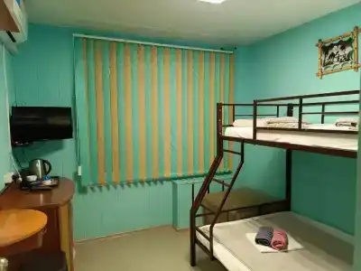 Норка - 100