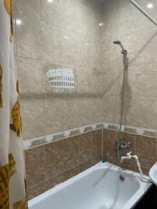 Изумруд - 111