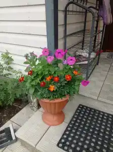 Семейный дом - 19