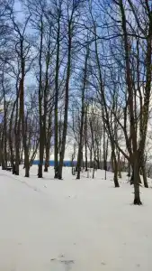 Квартиры на Верещагина 12 - 340