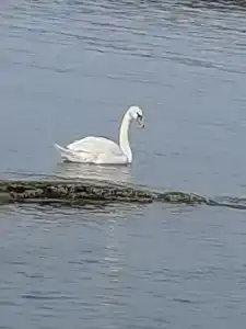 Гостевой дом на улице Рихарда Зорге - 38