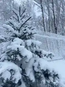 Каникулы - 35