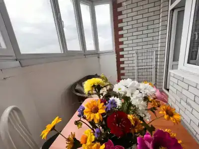 Квартиры на 50 лет ВЛКСМ 13 - 165