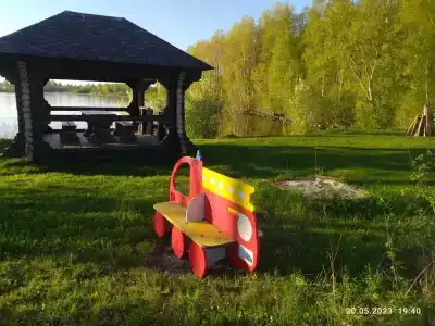 Лось - 19