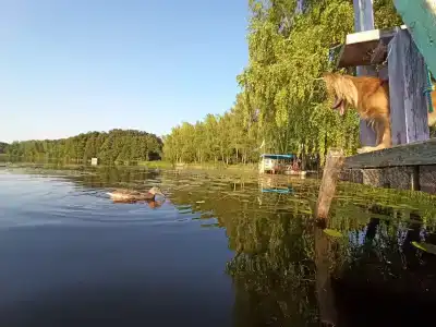 Белькино 1 - 16