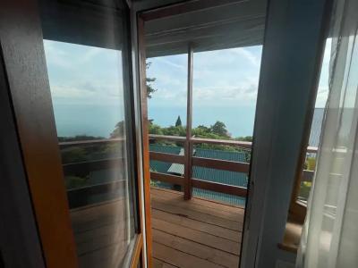 Среди сосен - 25