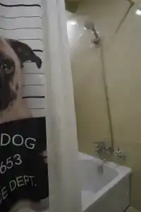 Квартиры на Гагарина 11 - 61