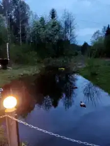 Райский уголок - 12