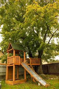 Боровики - 14