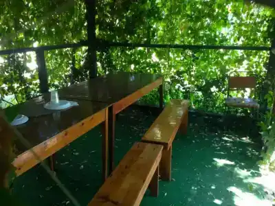 Отрада Плюс - 12