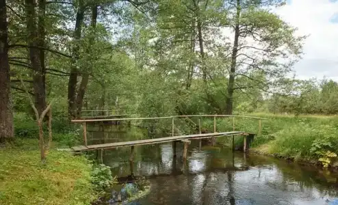 Дубровщина - 1