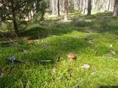 Дом возле озера - 20