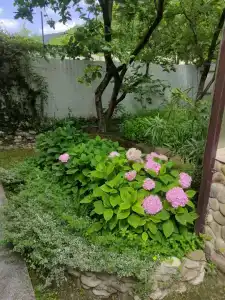 Аше & море - 84