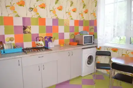 Родничок - 45