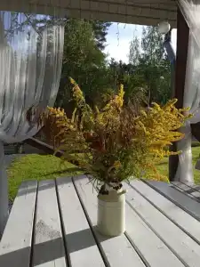 Хутор Медовое - 38