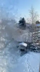 Коди Ярви - 140