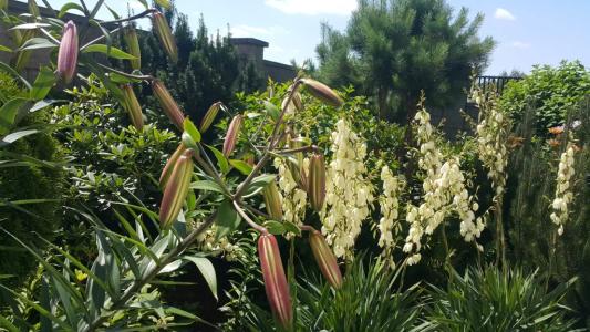 Villa Zen с ванной спа и террасой - 47