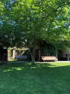 Дом у озера - 23