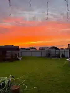 Ван Гог хаус - 6