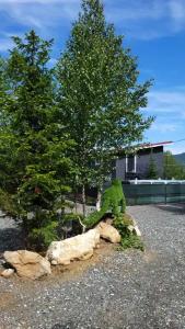 Сердце Сибири - 182