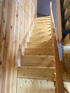 Медвежья поляна - 41