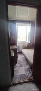 Камыши - 24
