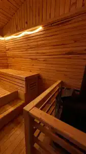 Дачка в лесу с купелью и сауной - 4