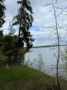 Дом на территории охотничьего хозяйства рядом с водохранилищем - 10