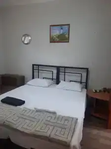 Кипарис - 6