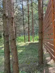 Дом в соснах - 28