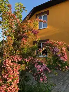 Царское село - 2