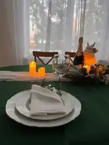 Дом в сосновом лесу - 4