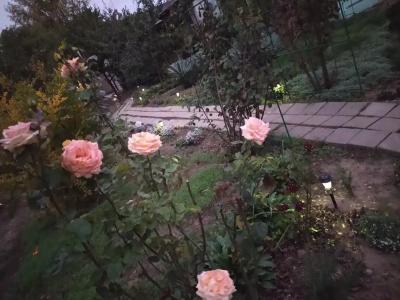 Дом на Пляжной 12 - 19