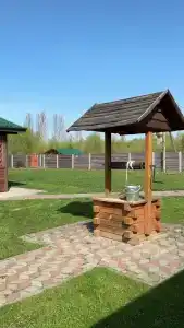 Васильки - 27