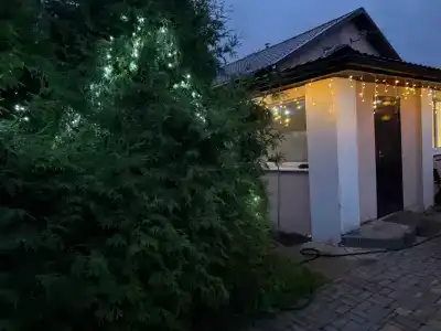 Фаниполь - 25