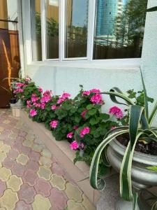 Просторные апартаменты у самого моря - 14