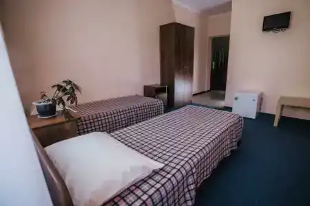 Виолетта - 36