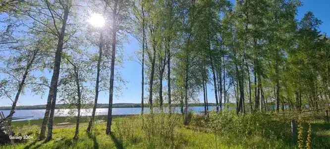 Мамонт на озере - 9